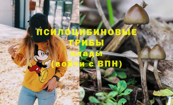 экстази Беломорск