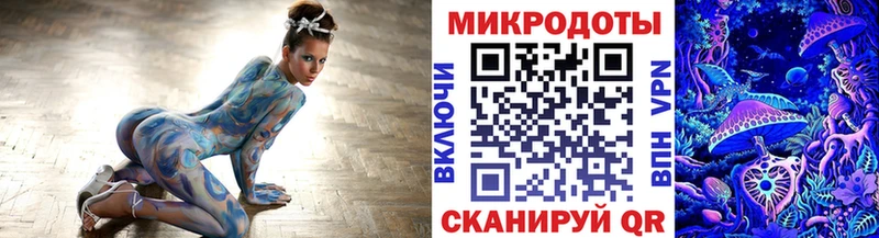 Галлюциногенные грибы Psilocybe  Пойковский 